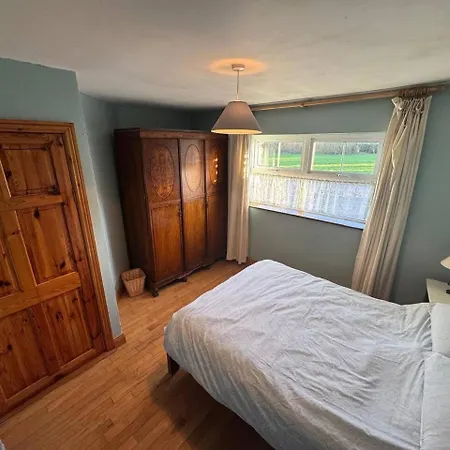 Portmagee Seaside - Gannet *