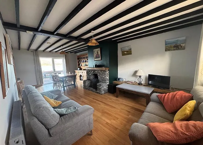 Portmagee Seaside - Gannet