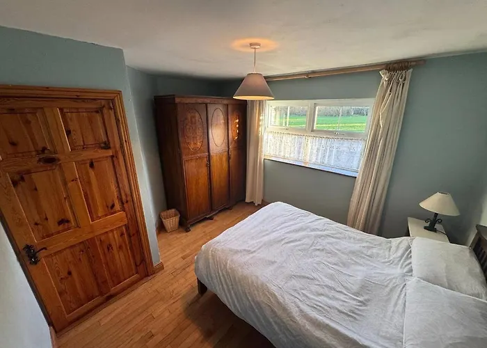 Portmagee Seaside - Gannet *