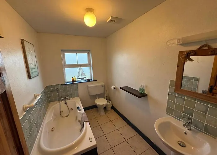 Portmagee Seaside - Gannet * Portmagee