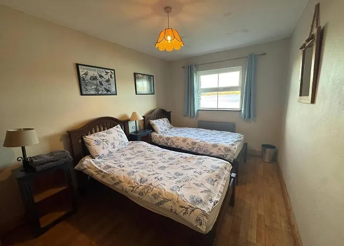 Portmagee Seaside - Gannet *